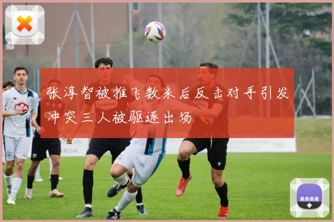 张淳智被推飞数米后反击对手引发冲突三人被驱逐出场